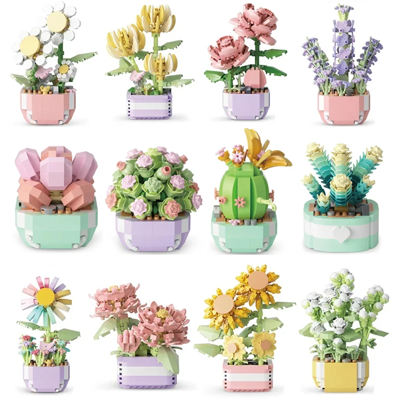 Bonsai Garden Kit - Fiore Piante grasse Building Blocks Fiore