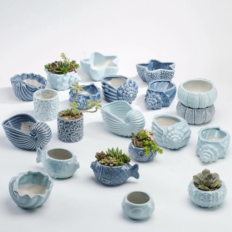Bonsai Tree Zen Garden - Vaso da fiori carnoso carino in