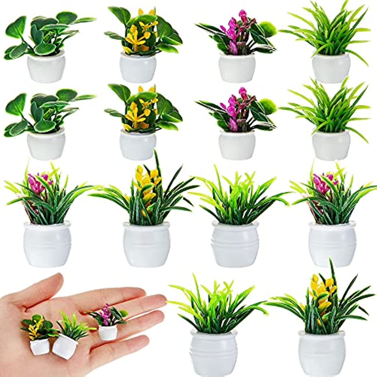 Bonsai Garden Kit - Pianta per casa delle bambole, pianta