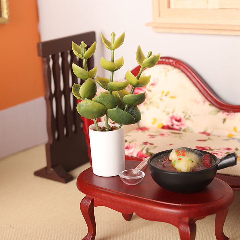 Bonsai Garden House - Nuova Offerta: Pianta in Vaso in