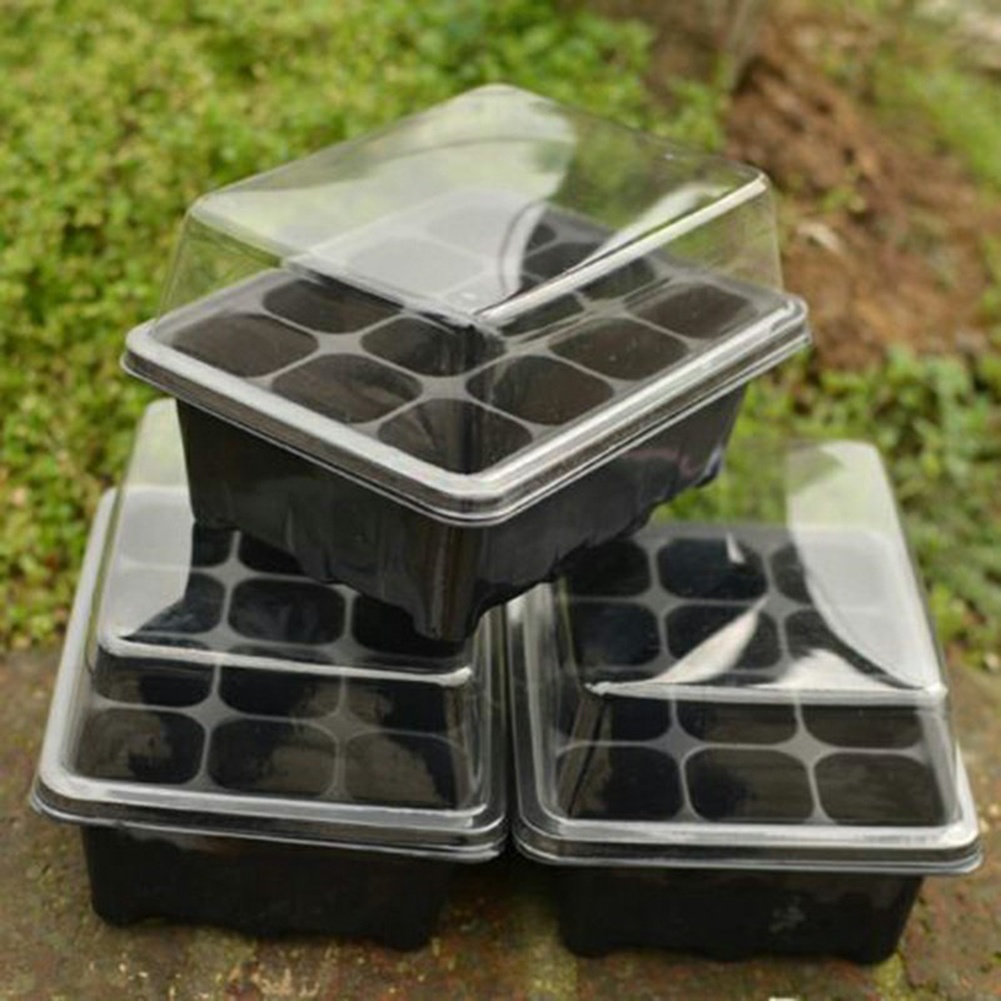 Kit di Germinazione Semi con V - Bonsai Garden Grow Kit recensione e prezzo