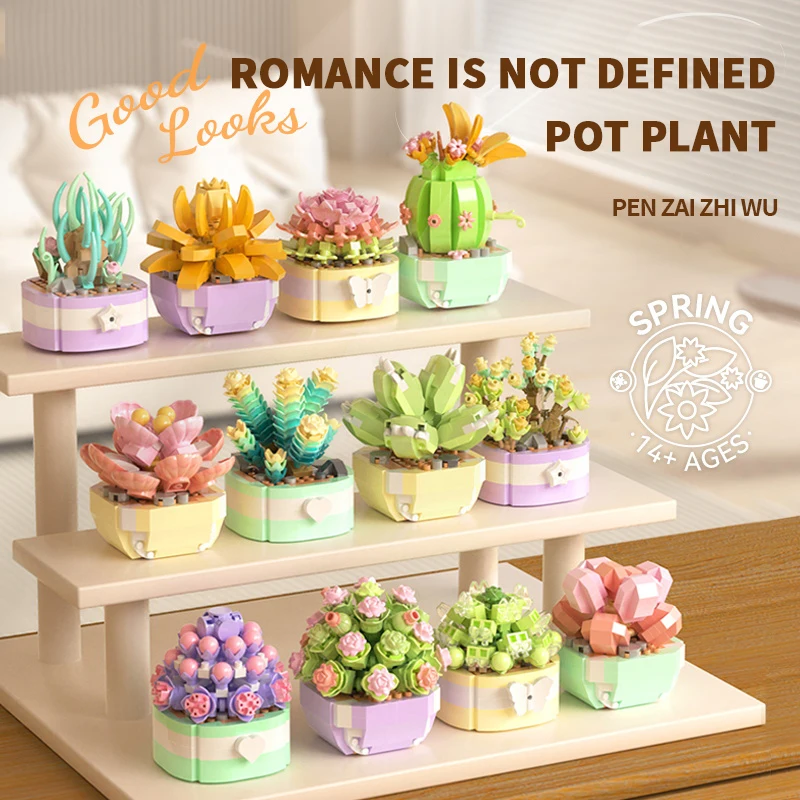Fiore Piante grasse Building B - Bonsai Garden Kit recensione e prezzo