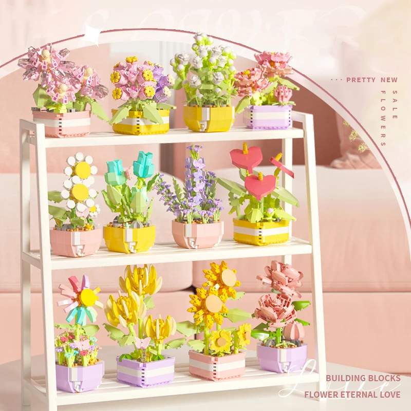 Fiore Piante grasse Building B - Bonsai Garden Kit recensione e prezzo