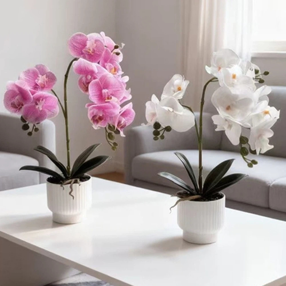 Orchidea a Farfalla Simulata M - Bonsai Garden Kit recensione e prezzo