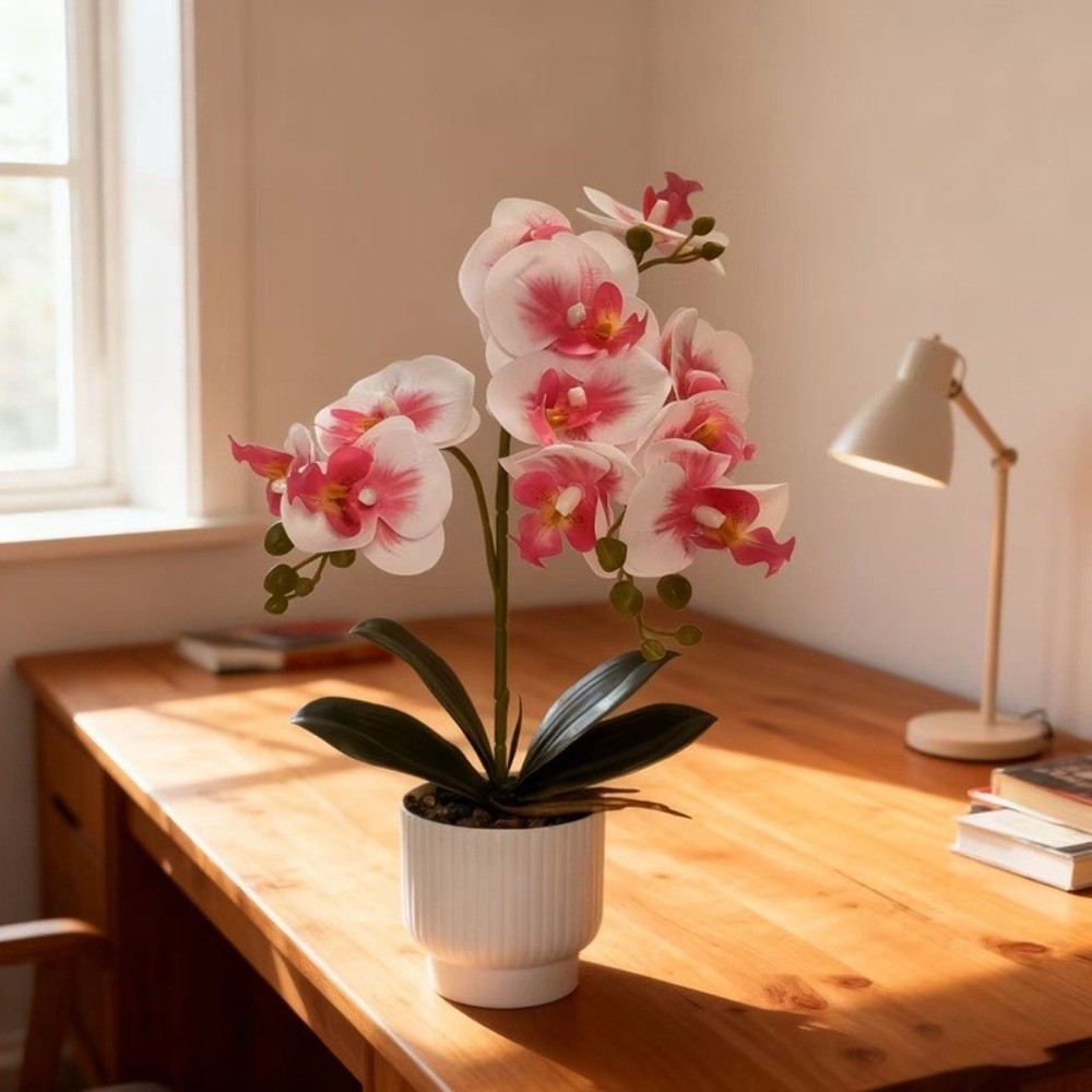 Orchidea a Farfalla Simulata M - Bonsai Garden Kit recensione e prezzo