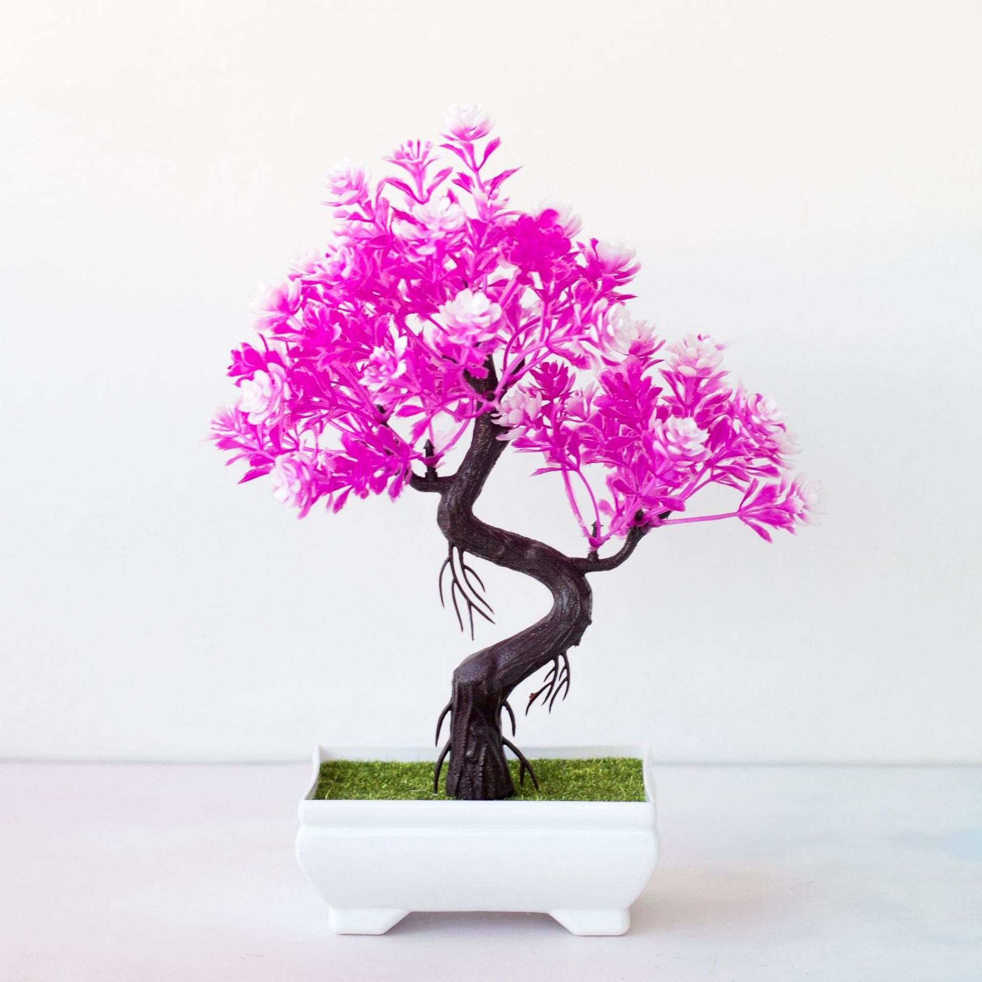 Bonsai Artificiale in Vaso, Pi - Bonsai Tree Zen Garden recensione e prezzo