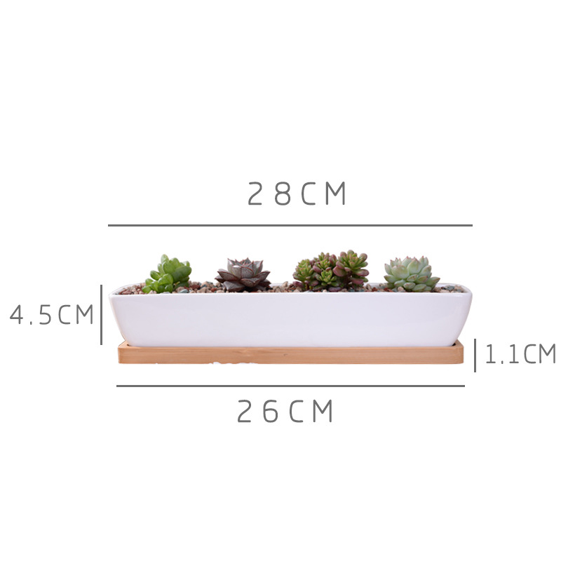 Vaso da fioriera succulenta in - Bonsai Tree Zen Garden recensione e prezzo
