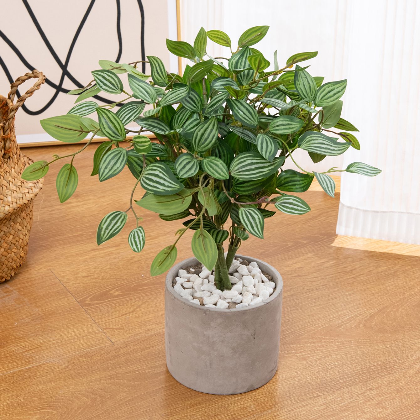 Pianta Bonsai Verde Artificial - Bonsai Garden House recensione e prezzo