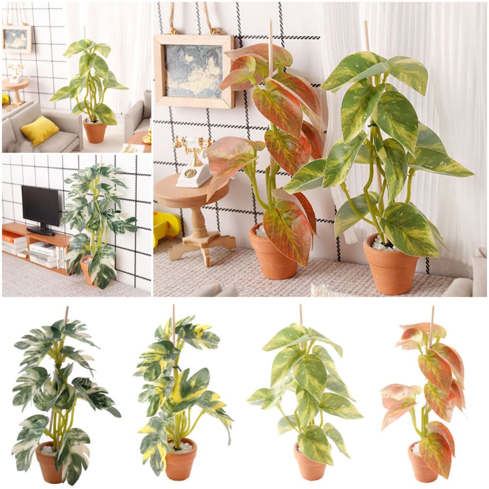 Modellino Creativo 1:12 di Bon - Bonsai Garden House recensione e prezzo