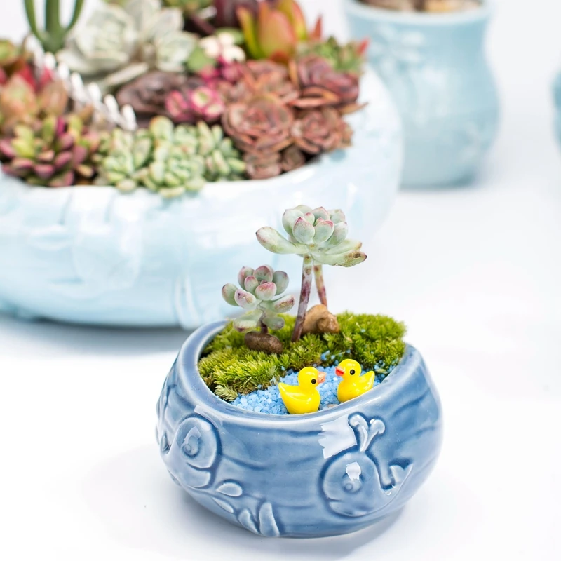 Vaso da fiori carnoso carino i - Bonsai Tree Zen Garden recensione e prezzo