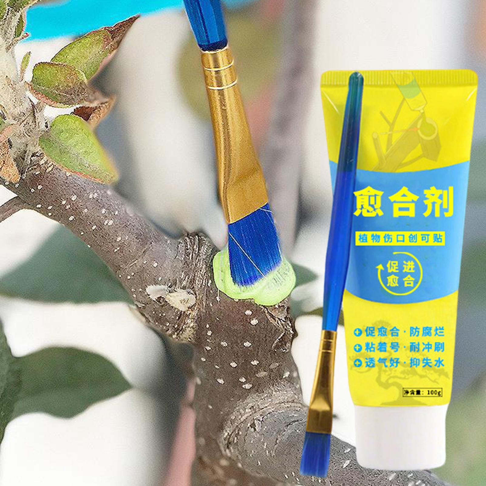 Sigillante per Potatura Piante - Bonsai Garden Tree recensione e prezzo