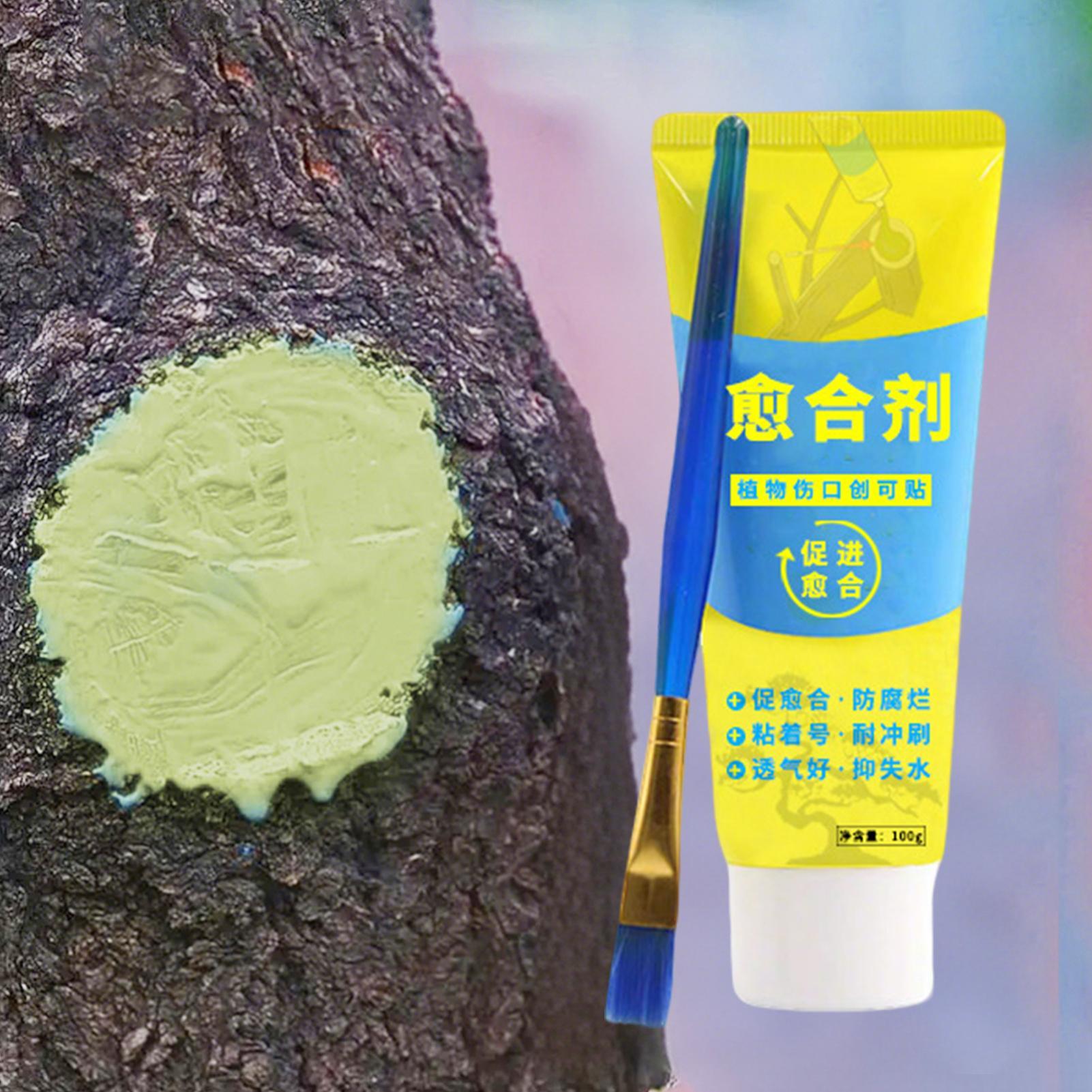 Sigillante per Potatura Piante - Bonsai Garden Tree recensione e prezzo