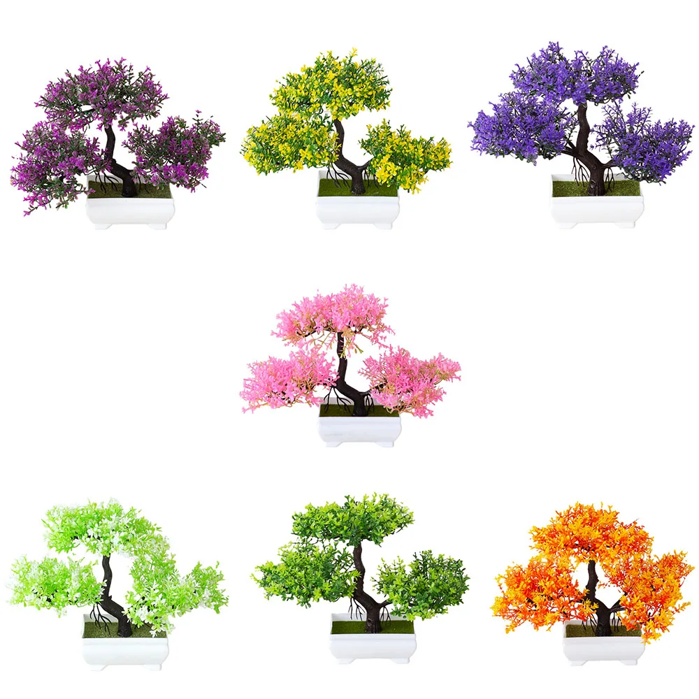 di decorazioni per piante arti - Bonsai Tree Zen Garden recensione e prezzo