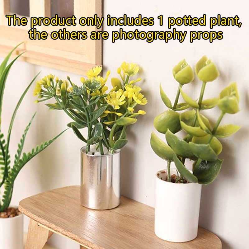 1:12 Casa delle bambole in min - Bonsai Garden House recensione e prezzo