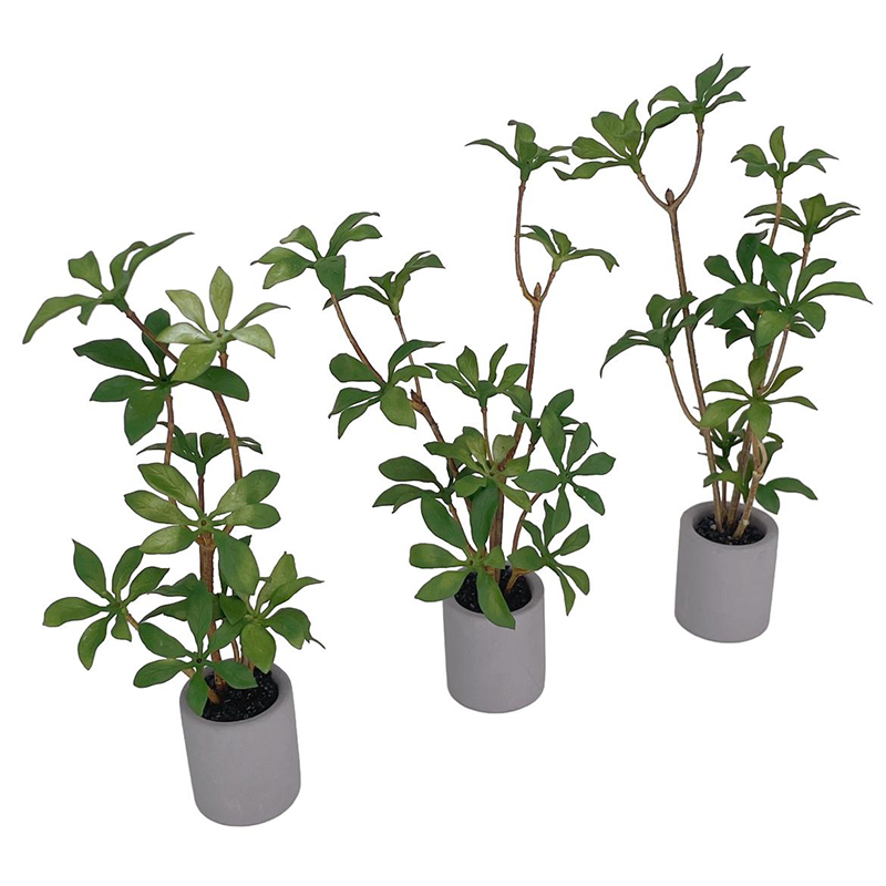 1:6 Casa delle bambole in mini - Bonsai Garden House recensione e prezzo