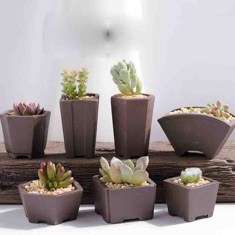 Yixing Viola Sabbia Vaso di Fi - Bonsai Tree Zen Garden recensione e prezzo