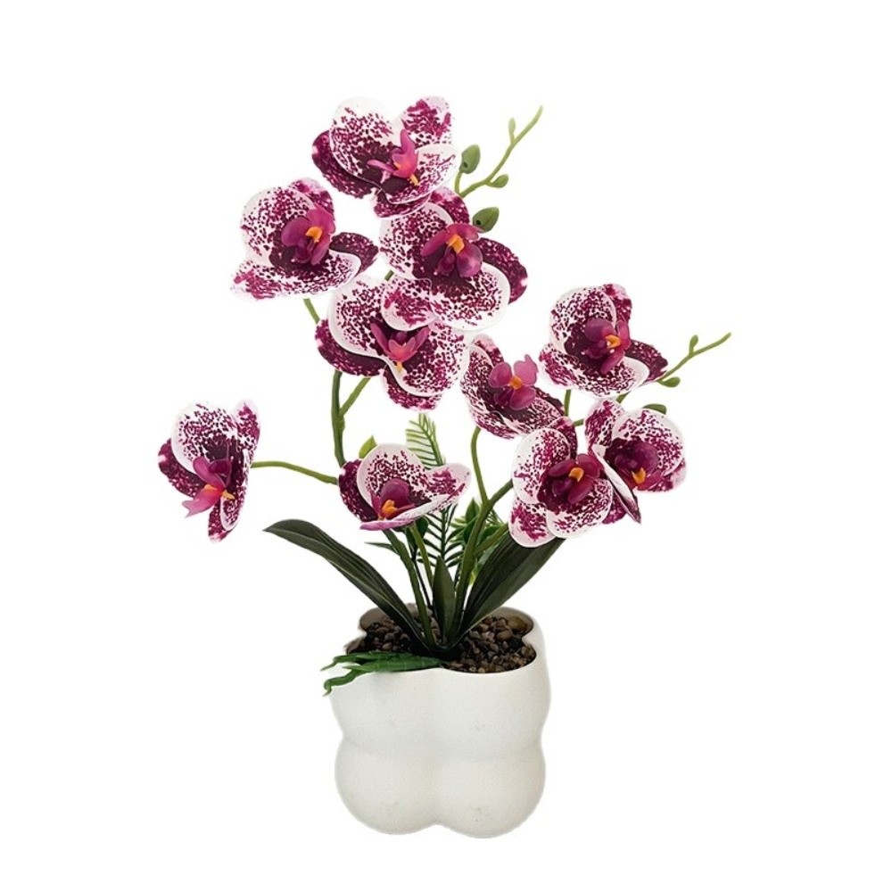 Orchidea a Farfalla Simulata M - Bonsai Garden Kit recensione e prezzo