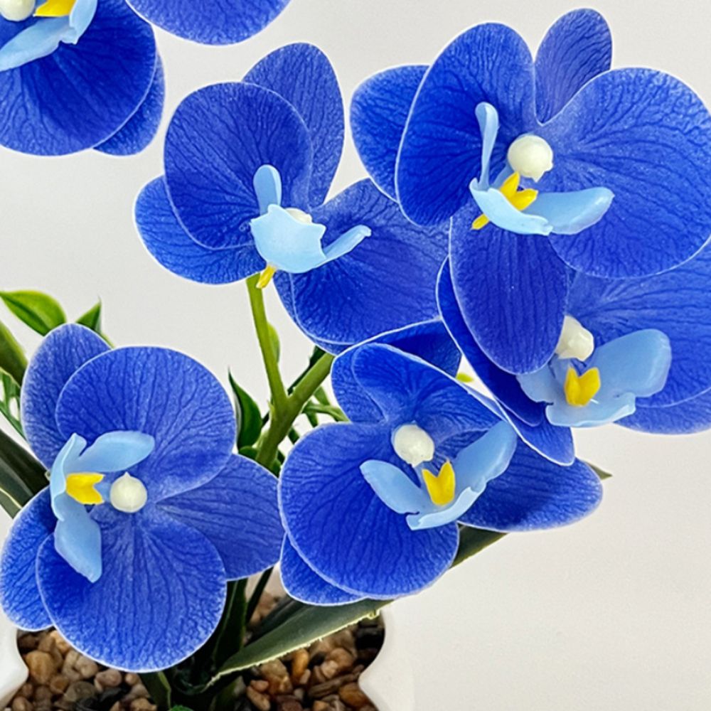 Orchidea a Farfalla Simulata M - Bonsai Garden Kit recensione e prezzo