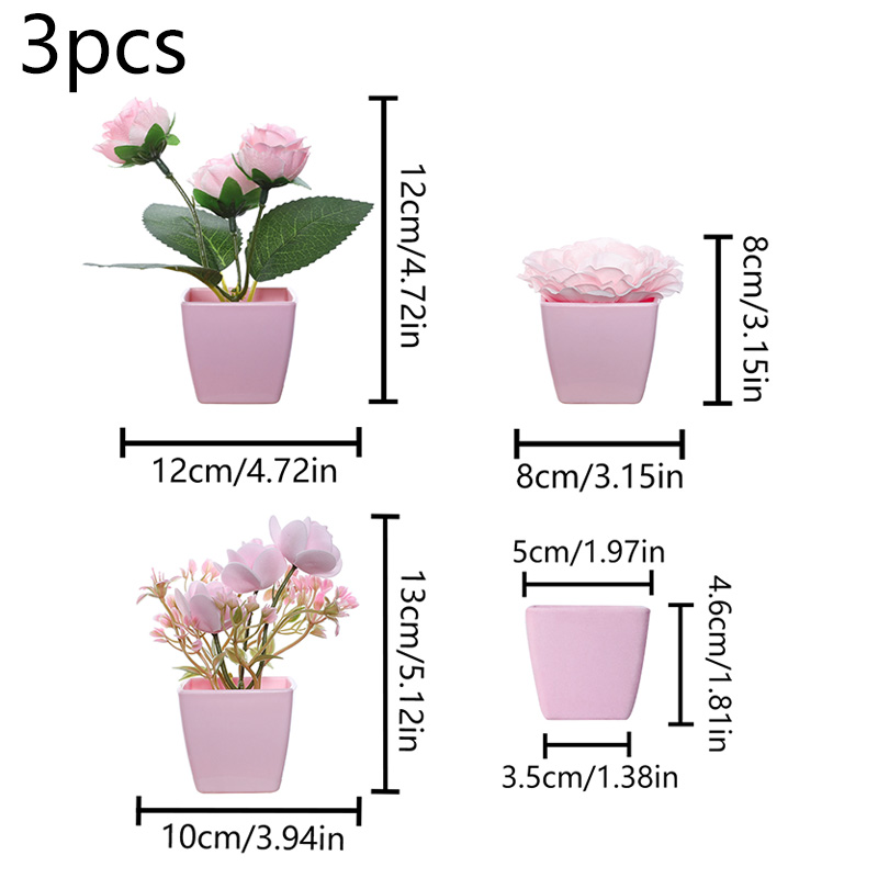 (U set di 3 pezzi) Mini piante - Bonsai Garden Kit recensione e prezzo