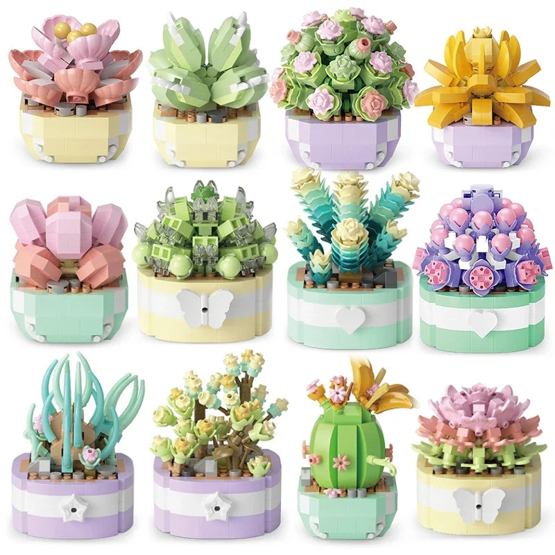 Fiore succulente blocchi di co - Bonsai Garden Kit recensione e prezzo