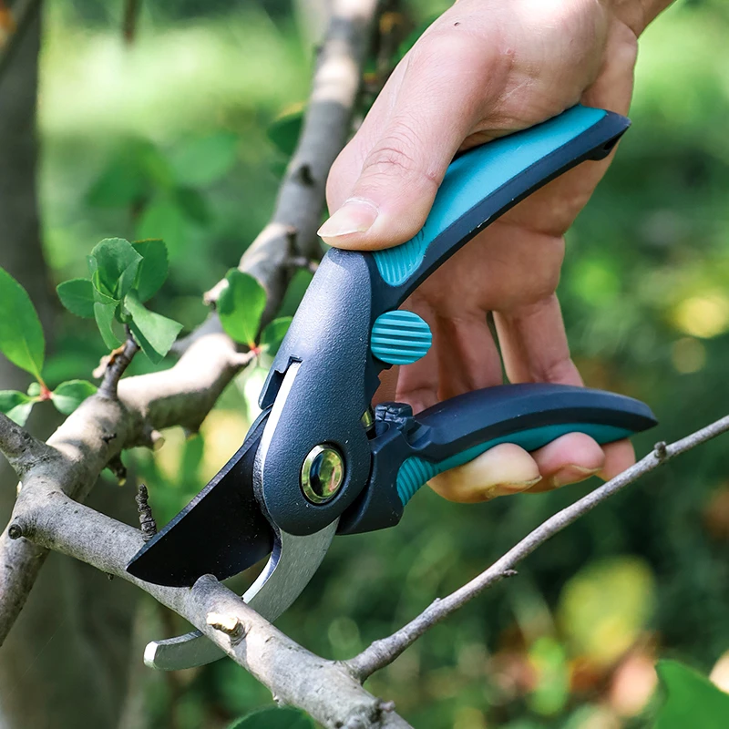 Forbici per potatura alberi da - Bonsai Garden Tree recensione e prezzo