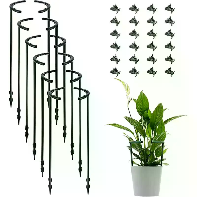 Gabbia di Supporto per Piante, - Bonsai Garden House recensione e prezzo