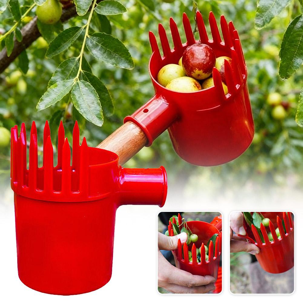 Raccogli Frutta Portatile con  - Bonsai Garden Tree recensione e prezzo