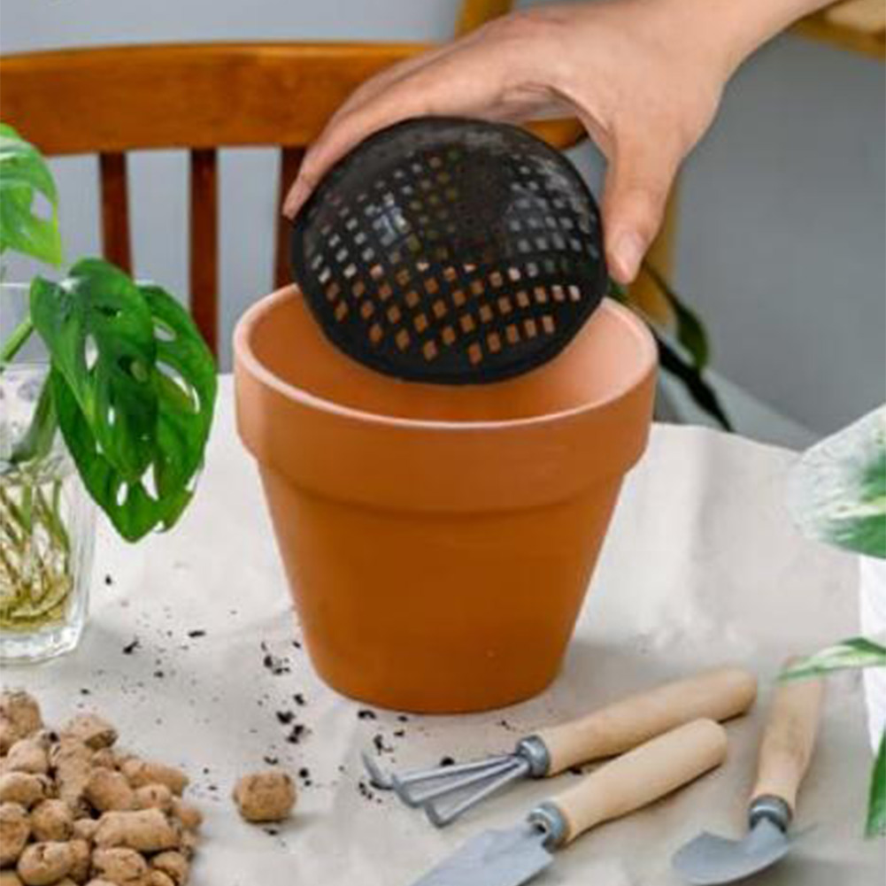 20/30 Pezzi Rete a Maglia per  - Bonsai Garden Kit recensione e prezzo