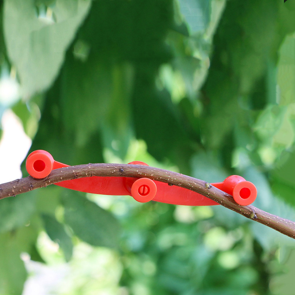 10 Pezzi di Piegatori Flessibi - Bonsai Garden Tree recensione e prezzo