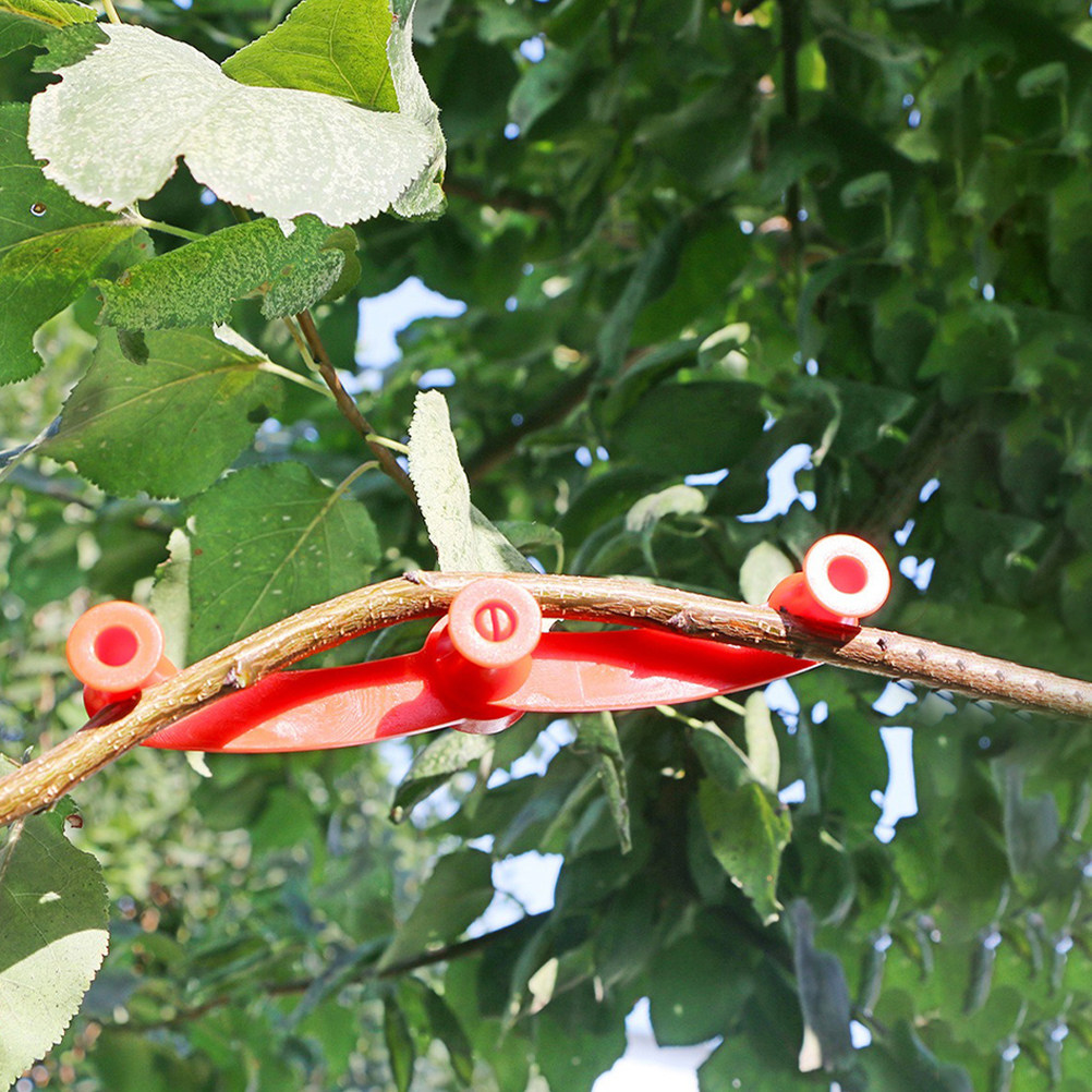 10 Pezzi di Piegatori Flessibi - Bonsai Garden Tree recensione e prezzo