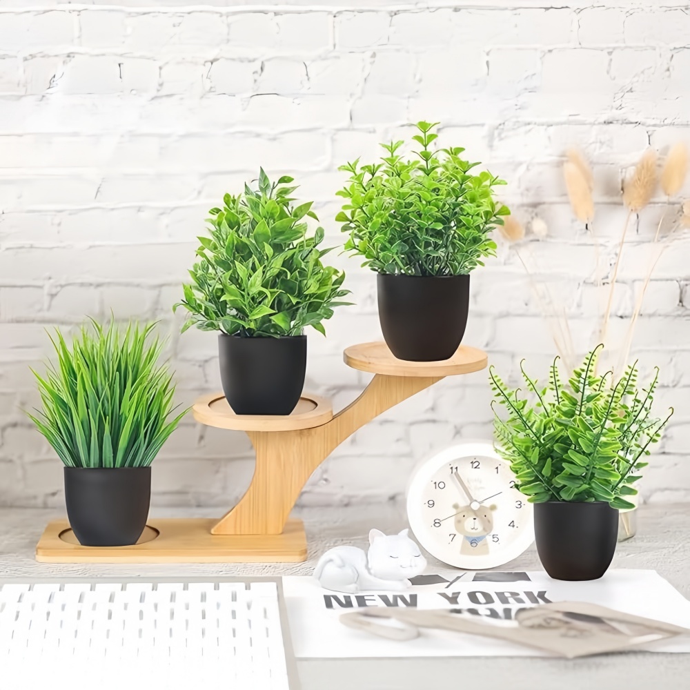 Set di 4 Mini Piante Artificia - Bonsai Garden Kit recensione e prezzo