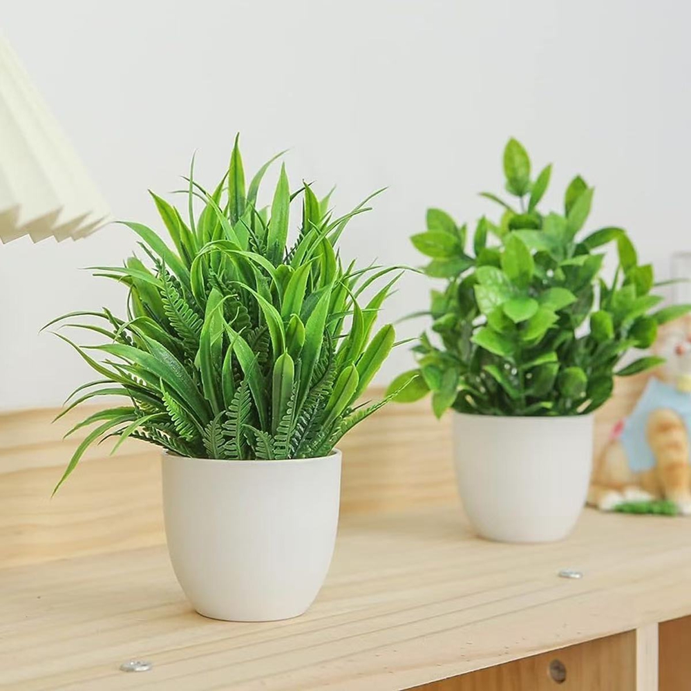 Set di 4 Mini Piante Artificia - Bonsai Garden Kit recensione e prezzo