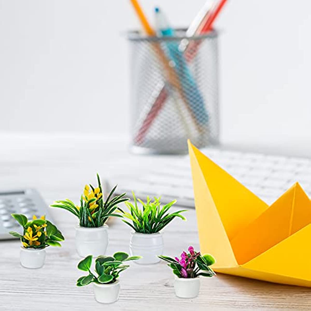 Pianta per casa delle bambole, - Bonsai Garden Kit recensione e prezzo