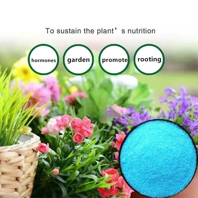 200g Giardino Solubile in Acqu - Elemental Bonsai Garden recensione e prezzo