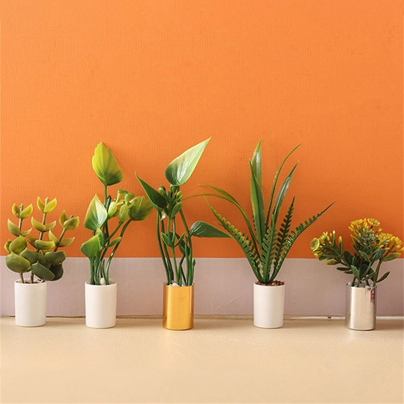Nuova Offerta: Pianta in Vaso  - Bonsai Garden House recensione e prezzo
