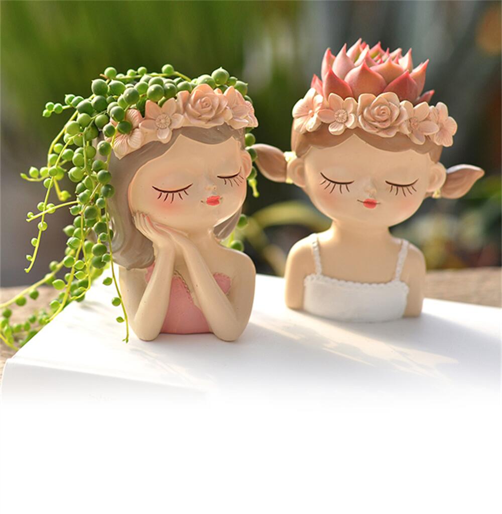 Fata succulenta vaso da fiori  - Bonsai Tree Zen Garden recensione e prezzo