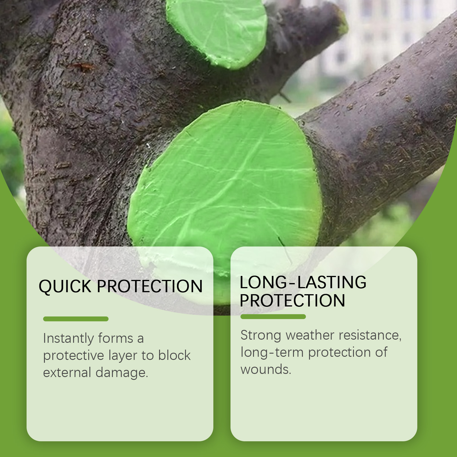 Agente cicatrizzante per ferit - Bonsai Garden Tree recensione e prezzo