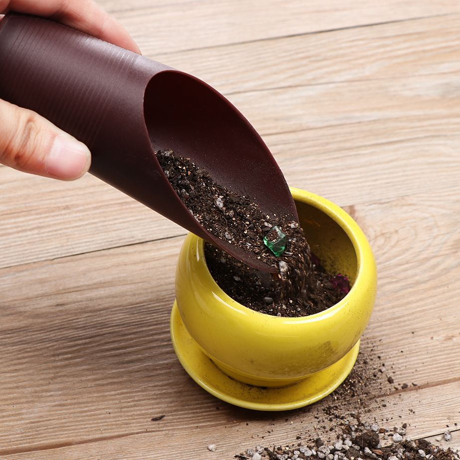 1 pz plastica terreno pala taz - Bonsai Garden Kit recensione e prezzo